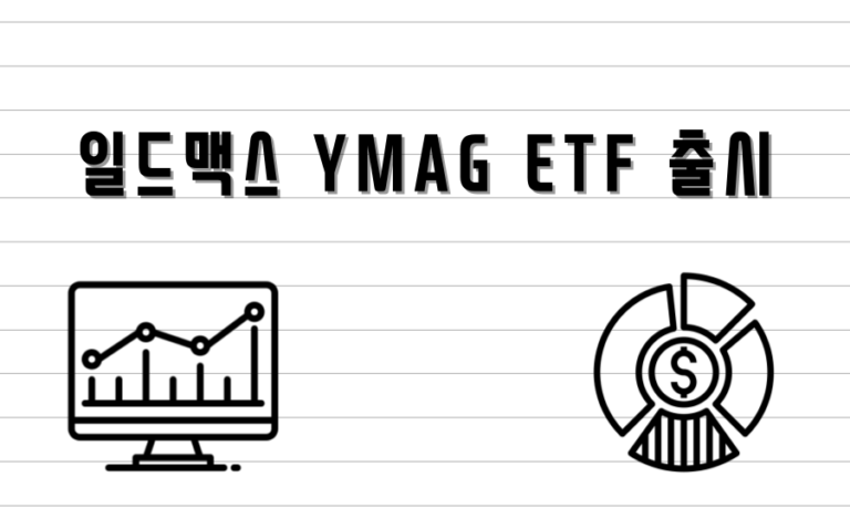 일드맥스 YMAG