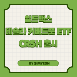 일드맥스 CRSH 테슬라 커버드 풋 ETF