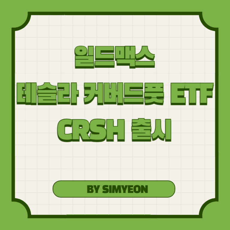 일드맥스 CRSH 테슬라 커버드 풋 ETF