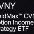 CVNY : 카바나(CVNA) 기반 옵션 인컴 ETF 분석