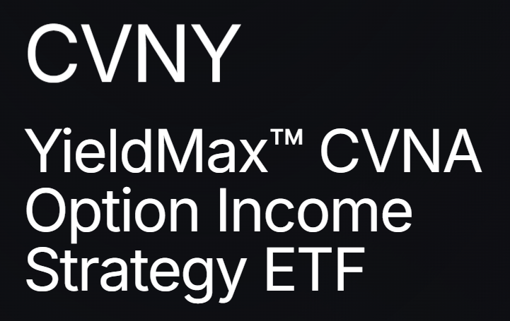 CVNY : 카바나(CVNA) 기반 옵션 인컴 ETF 분석