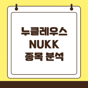 누클레우스(NUKK) 핀테크에서 방산회사로 성공적인 전환이 가능할까?