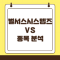 벌서스 시스템스(VS) : 보상 게임화 시스템 혁신 기업