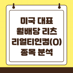 대표적인 미국 월배당 리츠 리얼티인컴(O)