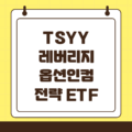 TSYY 커버드콜 레버리지 ETF