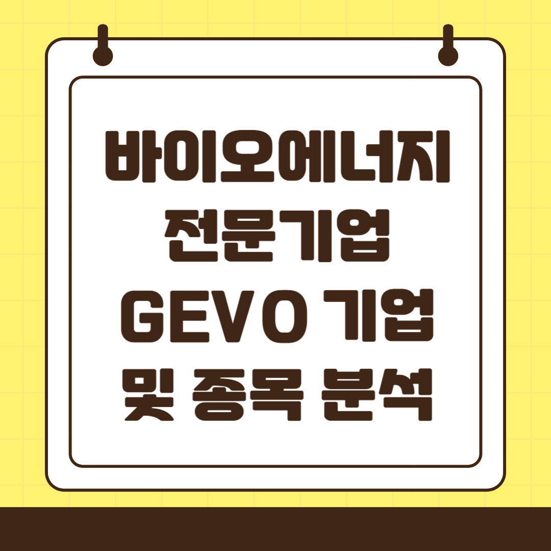 미국 주식 GEVO 종목 분석