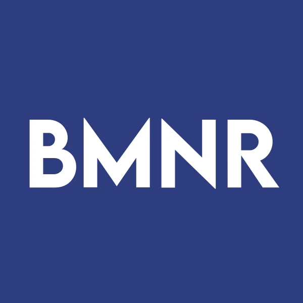 비트마인 이머션 테크놀로지스(BMNR) 종목 분석 및 가격 전망